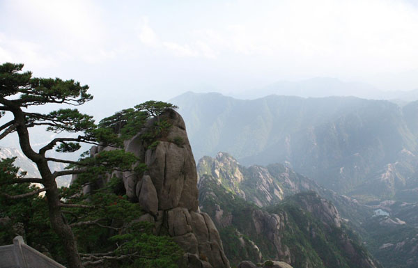 Yellow Mountain Peak Glimpse